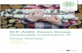 EIP-AGRI Focus Group - European Commission...EIP-AGRI FOCUS GROUP SUSTAINABLE MOBILISATION OF FOREST BIOMASS FEBRUARY 2018 7 3 The European forest-based sector The European forest-based