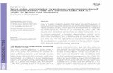 Sense codon emancipation for proteomewide incorporation of ... · The genetic code: degeneracy, wobbling and codon usage The nearly identical assignment of triplet codons to ... wobble
