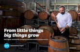 From little things big things grow - Xero Accounting Software · • Controls: Income, education, industry, business growth, migration Businesses on Xero in mature NBN areas also