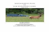 FOR ELK IN PENNSYLVANIA · This document is an update to the Management Plan for Elk in Pennsylvania developed in 1996. The Game Commission has worked hard to accomplish the goals