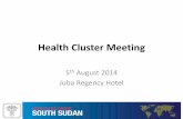 Health Cluster Meeting - HumanitarianResponse · Health Cluster Meeting 5th August Action Items Person Responsible Health Information. Maternal mortality and stillbirths. Maternal