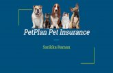 PetPlan Pet Insurance · Pet Plan Pet Insurance can use this information to adjust its marketing scheme to attract people with younger pets for a greater LTV of each pet with coverage.