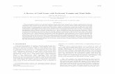 A Review of Cold Fronts with Prefrontal Troughs and Wind ... · A Review of Cold Fronts with Prefrontal Troughs and Wind Shifts DAVID M. SCHULTZ Cooperative Institute for Mesoscale