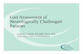 Gait Assessment ofGait Assessment of Neurologgy gically ... Timple.pdf · Gait Assessment ofGait Assessment of Neurologgy gically Challenged Patients Cathelyn Timple, PT, DPT, NCS,