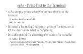 echo - Print Text to the Terminalckelly/teaching/common/lecture/...echo - Print Text to the Terminal •echo simply prints whatever comes after it to the terminal $ echo Hello world!