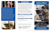 Why require a 10-day Rabies Bites! - DATCP Home Homepage · 2019-07-19 · Why require a 10-day quarantine period? ... is why it is so important that the dog or cat under quarantine