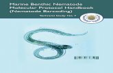 Marine Benthic Nematode Molecular Protocol Handbook ... · Marine Benthic Nematode Molecular Protocol Handbook (Nematode Barcoding) 3 The final phase is the monitoring itself. Here,