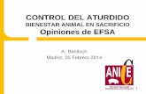 A. Benlloch Madrid, 25 Febrero 2014 DEL ATURDIDO.pdf · 2016-04-11 · con CO2) y Ovino-caprino (aturdimiento eléctrico sólo en cabeza y sin aturdimiento). • Objetivo: definir