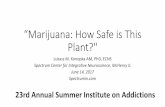 “Marijuana: How Safe is This Plant? - Haymarket Center · “Marijuana: How Safe is This Plant?" Lukasz M. Konopka AM, PhD, ECNS Spectrum Center for Integrative Neuroscience, McHenry