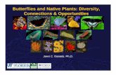 Butterflies and Native Plants: Diversity, Connections ... · To much extent, this relationship is the result of a life cycle that requires availability of both larval host and adult