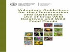 Voluntary guidelines for the conservation and …Voluntary Guidelines for the Conservation and Sustainable Use of Crop Wild Relatives and Wild Food Plants Crop wild relatives are potential