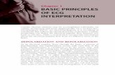 Chapter 1 BASIC PRINCIPLES OF ECG 2012-09-25آ  Basic Principles of ECG Interpretation 3 chemical effect