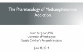 The Pharmacology of Methamphetamine Addiction · 2019-07-10 · The Pharmacology of Methamphetamine Addiction Susan Ferguson, PhD University of Washington Seattle Children’s Research