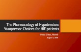 The Pharmacology of Hypotension: Vasopressor Choices for HIE … · 2018-08-02 · Dopamine-Clinical Considerations • At least 50% of positive inotropic effects caused by inducing