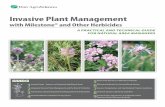 Invasive Plant Management - rrsi.com · InvasIve Plant ManageMent guIde for natural area Managers. 2012 | 1 INSIDE 1Invasive Plants - Impacts on rangeland and natural areas 2 Integrated