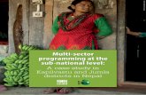 Multi-sector programming at the sub-national level · animals, introducing seeds for fortified crops, changes in hardware. v)Nutrition-specific platforms utilised to introduce nutrition-sensitive