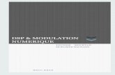 DSP & MODULATION NUMERIQUEread.pudn.com/downloads413/doc/1757979/DSP.pdfDSP & MODULATION NUMERIQUE Signal modulé AM II. Expérience 2 : Modulation FM On parle de modulation de fréquence