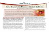 New Brunswick Disease Watch Bulletin...New Brunswick Disease Watch Bulletin Office of the Chief Medical Officer of Health 12/10 Heavy metals testing in clinical practice Case report: