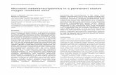 Microbial metatranscriptomics in a permanent marine oxygen …marine-micro.biology.gatech.edu/wp-content/uploads/2014/... · 2014-11-08 · Microbial metatranscriptomics in a permanent