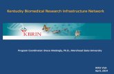Kentucky Biomedical Research Infrastructure Network · Kentucky Biomedical Research Infrastructure Network A Kentucky BRIN- Award was received in 2001 as part of the NIH Institutional