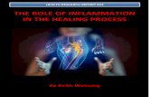 The role of Inflammation in the healing process...chemical “alarms” a series of inflammatory ... fluid. Injured tissue cells, phagocytes, lymphocytes, mast cells and blood proteins