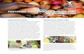 FOSTERING SMALLHOLDER AGRICULTURE IN SIERRA LEONE · 2019-10-11 · In light of boosting an integrated cashew and honey sector in Sierra Leone, COOPI, in collaboration with the respective