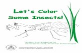 Let's Color Some Insects! - New Mexico State Universitycahe.nmsu.edu/pubs/_circulars/circ565.pdfSome can bite or sting and spread diseases, such as malaria, yellow fever, and plague.