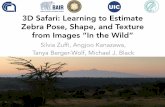 3D Safari: Learning to Estimate Zebra Pose, Shape, and ... · prediction input image + Params predictor Stitching Network. Encoder Shape predictor features dv uv-flow SMAL horse template
