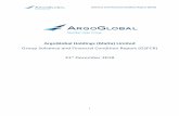 ArgoGlobal Holdings (Malta) Limited€¦ · 3 GROUP’S VALUATION FOR SOLVEN Y PURPOSES ... therefore the risks calculated under the standard formula for the purposes of the Group