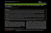Compensatory growth in novel Drosophila Akt1 …Compensatory growth in novel Drosophila Akt1 mutants Jennifer D Slade and Brian E Staveley* Abstract Background: Organisms, tissues