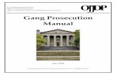 Gang Prosecution Manual - thewgsg.com · Gang Prosecution Manual Gang Prosecution Manual July 2009 This document was developed by the National Youth Gang Center. The following individuals