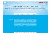 CHEMICAL RISK - PREVOR · Laurence MATHIEU PhD in Organic Chemistry, Chemical Engineer (ESCM/ECM). Head of Scienti ﬁ c Acti on Group Department. Prevor Laboratory Valmondois - France.