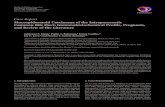 Case Report Mucoepidermoid Carcinoma of the ...downloads.hindawi.com/journals/cripa/2013/192458.pdfMucoepidermoid Carcinoma of the Intrapancreatic Common Bile Duct: Immunohistochemical
