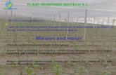 PLANT RESPONSE BIOTECH S.L. · - R+D Biotechnology company - Spin-off from the Biotecnología Department/Centro de Biotecnología y Genómica de Plantas (CBGP) of the Universidad