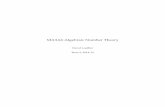 MA3A6 Algebraic Number Theory - University of Warwick€¦ · This is a module about algebraic number ﬁelds. An algebraic number ﬁeld is a special kind of ﬁeld, which contains