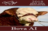 Laurel LM4185 Limousin - Bova-AIbova-ai.com/wp-content/uploads/2018/02/Bova-AI-Beef-Sire-Brochure-2018.pdf• Her sire Cabaret produced exceptional females in the Bros herd. • Cabaret
