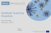 Sheffield Teaching Hospitals · alert organism colonisation Antibiotic use Domestic services and decontamination Surgical instruments and devices. Microbiology Laboratory/ Microbiologists