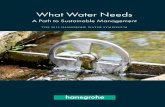 What Water Needs - Hansgrohe · 2018-06-18 · What Water Needs A Path to Sustainable Management The 2012 hansgrohe WaTer symposium Hansgrohe SE · P.O. Box 1145 · D-77757 Schiltach