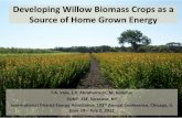 Developing Willow Biomass Crops as a Source of Home Grown ... · Developing Willow Biomass Crops as a Source of Home Grown Energy T.A. Volk, L.P. Abrahamson, M. Kelleher SUNY- ESF,