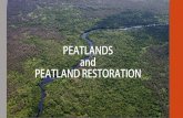 PEATLANDS and PEATLAND RESTORATION€¦ · and surrounding peatland • Developing institutional arrangements to deal with problems in peatland management • Conducting research