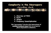 Neurospora Complexity in the circadian clockonline.itp.ucsb.edu/online/bioclocks07/bellpedersen/pdf/Bell-Pedersen_BioClocks_KITP.pdfComplexity in the Neurospora circadian clock ...