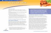FEDIOL Nutrition Factsheet Frying oils Factsheet on Frying oils -final.pdf · Frying implies the use of oils or fats that serve as both ingredient and heating medium. Deep frying