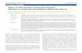 Effect of ATP-Sensitive Potassium Channel Agonists on ... · Effect of ATP-Sensitive Potassium Channel Agonists on Ventricular Remodeling in Healed Rat Infarcts Tsung-Ming Lee, MD,