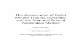 The Assessment of Bullet Wound Trauma Dynamics and the … · 2017-06-29 · The Assessment of Bullet Wound Trauma Dynamics and the Potential Role of Anatomical Models . DEDICATION.