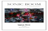 SONIC BOOM - The Haiku Foundation...Sonic Boom 8 Assertions By Bruce Sager I think, therefore I know the river is only a road, straights, curves, not unlike the imagination, countless