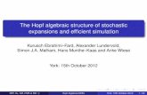 The Hopf algebraic structure of stochastic expansions and ...simonm/talks/york.pdf · The Hopf algebraic structure of stochastic expansions and efﬁcient simulation Kurusch Ebrahimi–Fard,