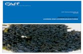 LICHENS AND LICHENICOLOUS FUNGI - Arctic Portallibrary.arcticportal.org/1305/1/CAFF_technical_no.20.pdf · 2011-09-06 · Greenland lichens. The aim of this paper is to provide both