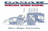 Wire Rope Forensics...form fatigue cracks much faster than pro-tected surfaces. If high local stresses help propagate these cracks, we call this mecha - nism stress corrosion. The