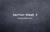 Section Week 3 - Harvard Universitylsci1a/jun03.pdf · 2009-06-15 · • Local structures adopted by contiguous amino acids • α-helix • Helical corkscrew structure that is typically