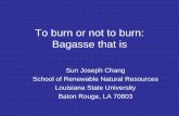 To burn or not to burn: Bagasse that it is - SWST · To burn or not to burn: Bagasse that is Sun Joseph Chang School of Renewable Natural Resources Louisiana State University ...